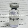 Liraglutide Peptide – GLP-1 Weight Loss Research Compound